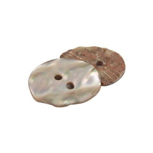 Abalone Shell Button