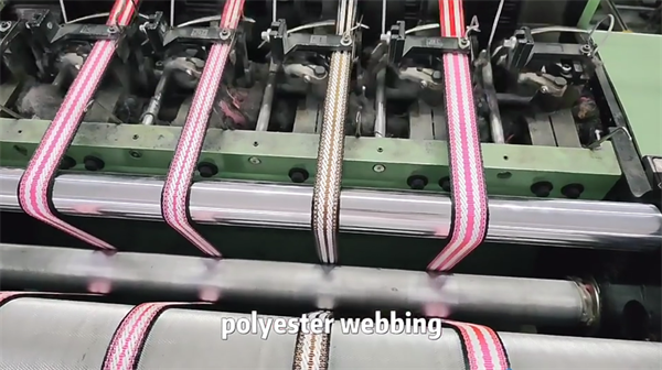 Polyester webbing